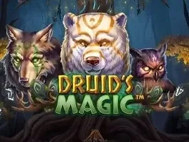 Druid's Magic thumbnail